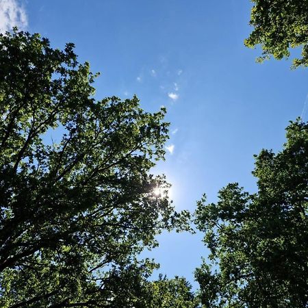 Отель Stacaravan Verhuur Drenthe Eext Экстерьер фото